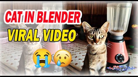 cat blender uncensored video